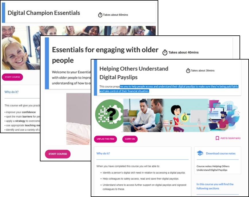 A screenshot of Digital Unite's courses for training Digital Champions